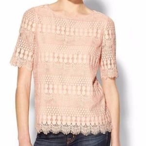 Anthropologie | Sabine | lace top | S | nude pink